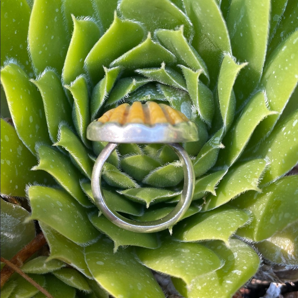 Sunrise Shell Ring - Picture 5 of 6